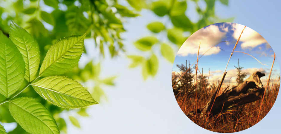 Civilcorp - Environment and Development -